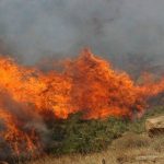 Συνεχίζει να καίει η πυρκαγιά κοντά στο δάσος της Στροφυλιάς